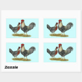 Cream Legbar Chickens Rechteckiger Aufkleber (Blatt)
