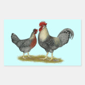 Cream Legbar Chickens Rechteckiger Aufkleber (Vorderseite)
