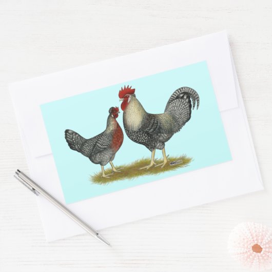 Cream Legbar Chickens Rechteckiger Aufkleber (Umschlag)