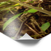 Cream Majestät Fotodruck (Ecke)