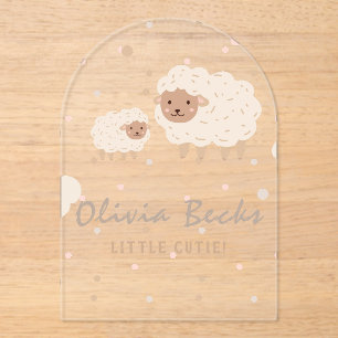 Cream Pastel Illustrative Baby Dusche Acryleinladungen