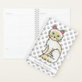 Cream Point Tabby Birman/Ragdoll und Paws & Text Planer (Anzeige)