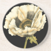 Cream Poppy Blume im schwarzen Hintergrund Getränkeuntersetzer (Vorne)