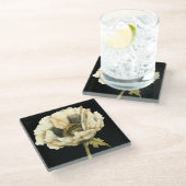 Cream Poppy Blume im schwarzen Hintergrund Glasuntersetzer (Schrägansicht)