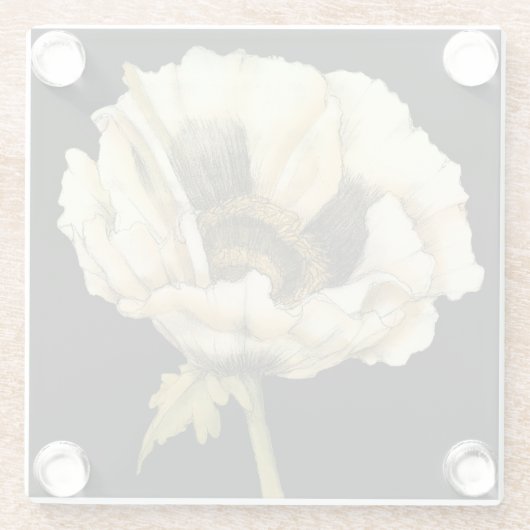 Cream Poppy Blume im schwarzen Hintergrund Glasuntersetzer (Rückseite)