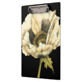 Cream Poppy Blume im schwarzen Hintergrund Klemmbrett (Links)
