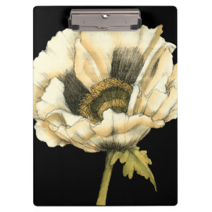 Cream Poppy Blume im schwarzen Hintergrund Klemmbrett