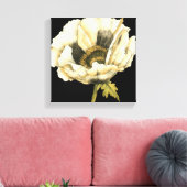 Cream Poppy Blume im schwarzen Hintergrund Leinwanddruck (Insitu (Wohnzimmer))