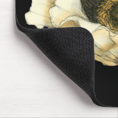 Cream Poppy Blume im schwarzen Hintergrund Mousepad (Ecke)