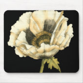 Cream Poppy Blume im schwarzen Hintergrund Mousepad (Vorne)