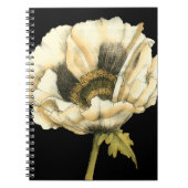 Cream Poppy Blume im schwarzen Hintergrund Notizblock (Vorderseite)