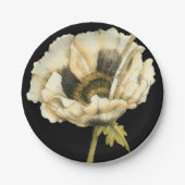 Cream Poppy Blume im schwarzen Hintergrund Pappteller (Vorderseite)