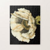 Cream Poppy Blume im schwarzen Hintergrund Puzzle (Vertikal)