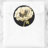 Cream Poppy Blume im schwarzen Hintergrund Runder Aufkleber (Tasche)