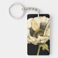 Cream Poppy Blume im schwarzen Hintergrund