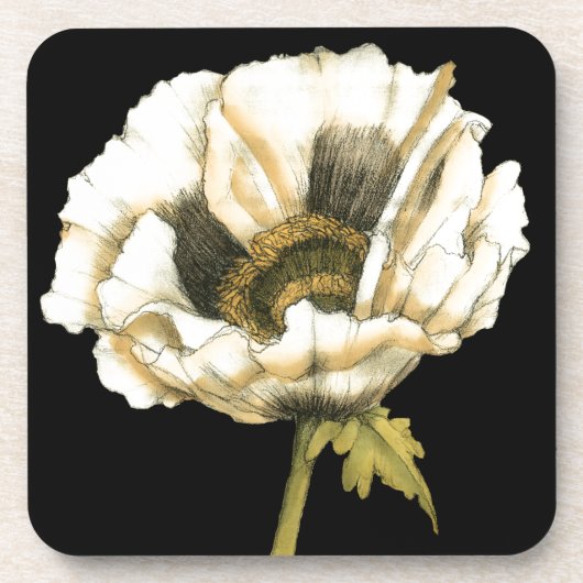 Cream Poppy Blume im schwarzen Hintergrund Untersetzer (Vorderseite)