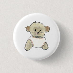Cream-Pudel-Welpe mit weißer Weste Button