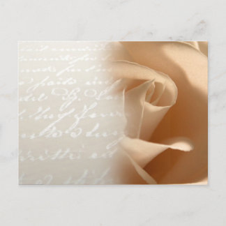 Cream Rose Hochzeit Postkarte individuell anpassen