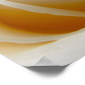 Cream Rose Hochzeitsfoto Poster (Ecke)