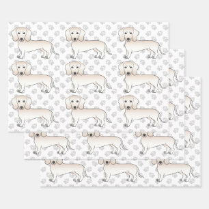 Cream Smooth Coat Dachshund Cartoon Hund Muster Geschenkpapier Set