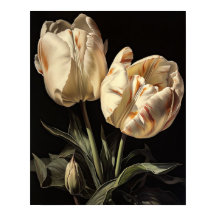 Cream Tulip Blume Art Print Poster