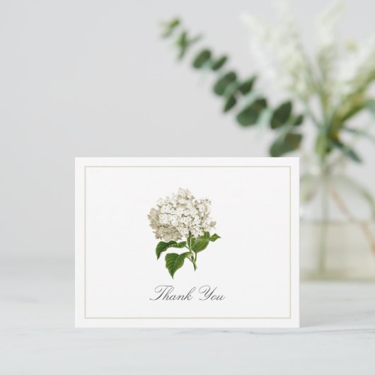 Cream White Hydrangea Bloom Traditional Thank You Postkarte (Stehend Vorderseite)