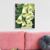 Creamy Foxglove Blume Leinwanddruck (Insitu (Wohnzimmer))