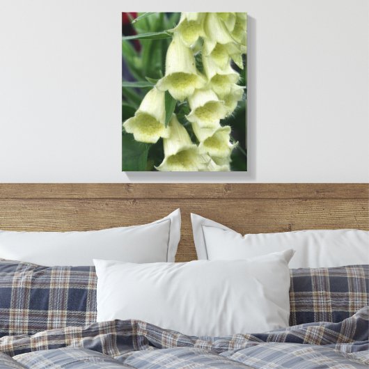 Creamy Foxglove Blume Leinwanddruck (Insitu (Schlafzimmer))