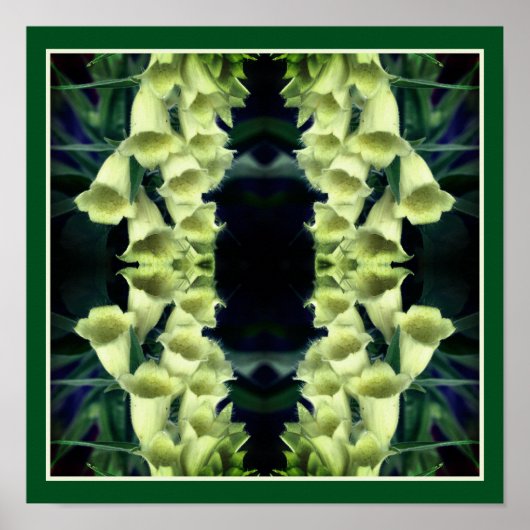 Creamy Foxglove Blume Mirror Abstrakt Poster (Vorne)