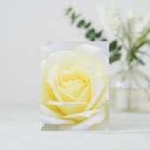 Creamy-Rose Postkarte (Stehend Vorderseite)