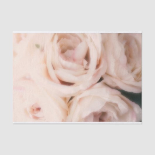 Creamy Soft Blush Pink Roses Elegante Hochzeit Seidenpapier (Vorderseite)