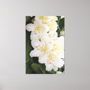 Creamy White Floral Leinwanddruck