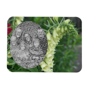 Creamy White Foxglove Blume hinzufügen Ihr Foto Magnet
