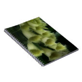 Creamy White Foxglove Blume Notizblock (Rechte Seite)