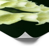 Creamy White Foxglove Blume Poster (Ecke)
