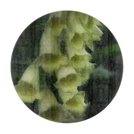 Creamy White Foxglove Blume Schneidebrett (Vorderseite)