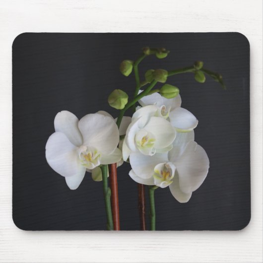 Creamy White Orchid Mousepad (Vorne)