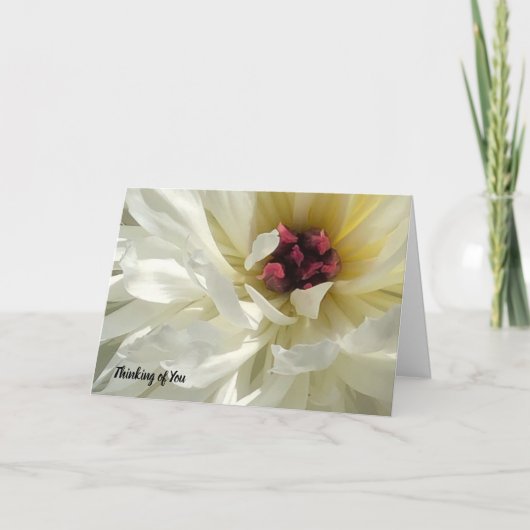Creamy White Peony Flower Sympathy Card Karte (Vorderseite)