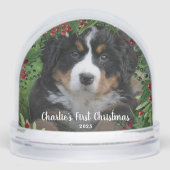 Create your Dog's First Christmas photo Schneekugeln (Vorderseite)