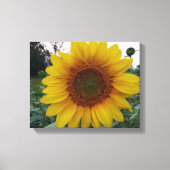 Create Your Own Canvas Wall Art with Custom Photo Leinwanddruck (Vorderseite)
