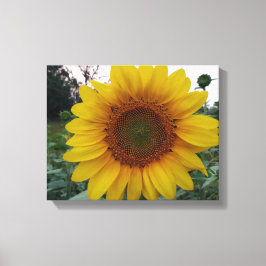 Create Your Own Canvas Wall Art with Custom Photo Leinwanddruck