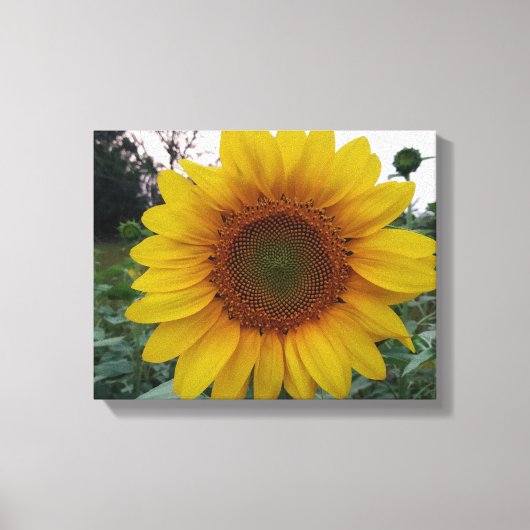 Create Your Own Canvas Wall Art with Custom Photo Leinwanddruck (Vorderseite)