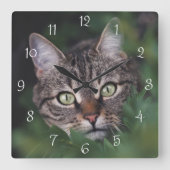 Create Your Own Custom Pet Photo Square Wall Clock Quadratische Wanduhr (Vorderseite)