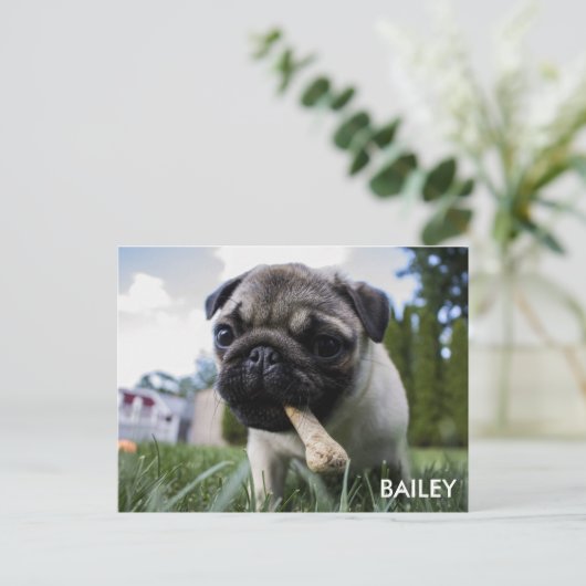 Create Your Own Custom Photo Postkarte (Stehend Vorderseite)