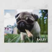 Create Your Own Custom Photo Postkarte (Vorderseite)