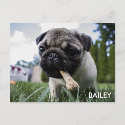 Create Your Own Custom Photo Postkarte (Vorderseite)