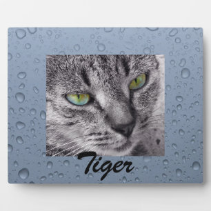 Create your own pet photo plaque fotoplatte