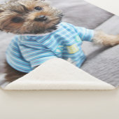 Create Your Own Photo  Sherpadecke (3/4)