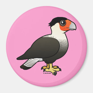 Created Caracara Magnet