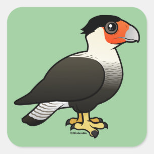 Created Caracara Quadratischer Aufkleber